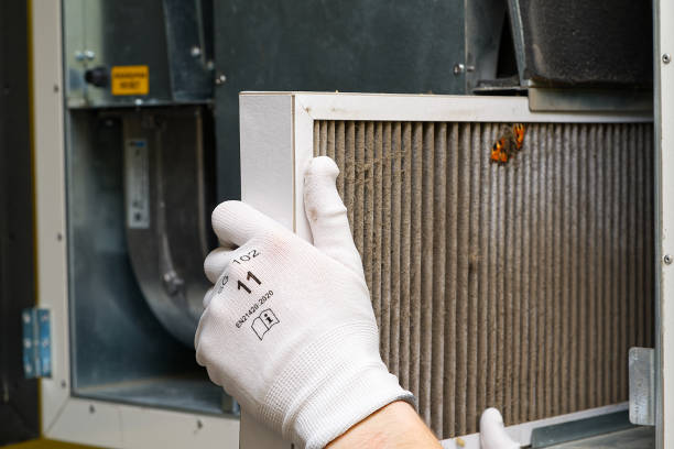 Best Best Air Duct Cleaning Company  in Grapeland, TX