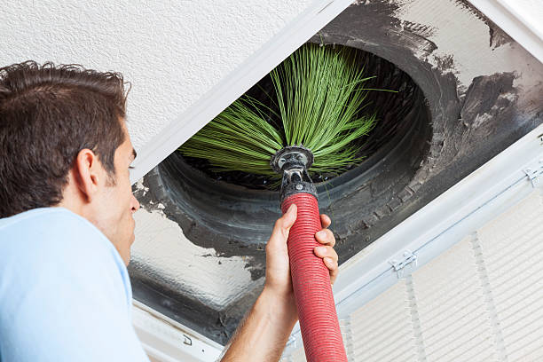 Best HVAC System Cleaning  in Grapeland, TX